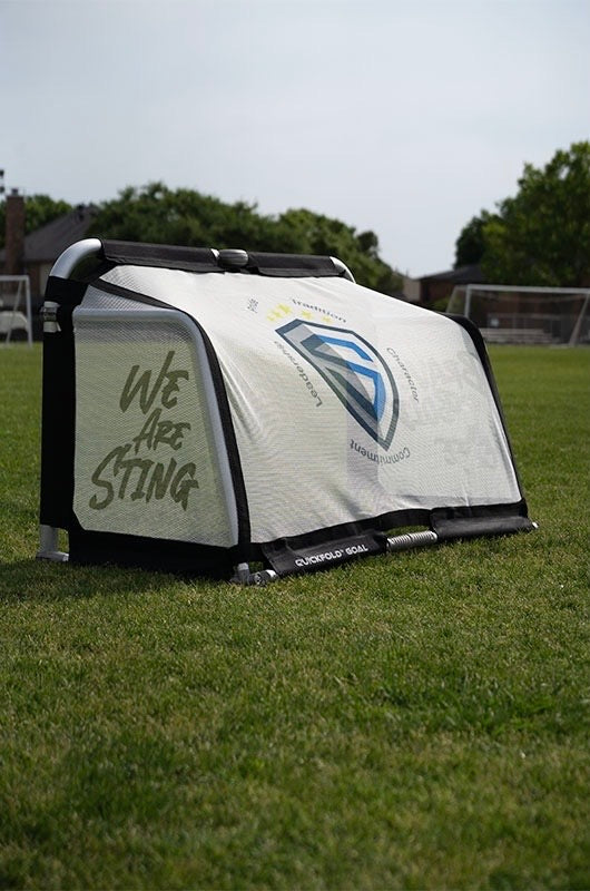Sting Soccer Goals