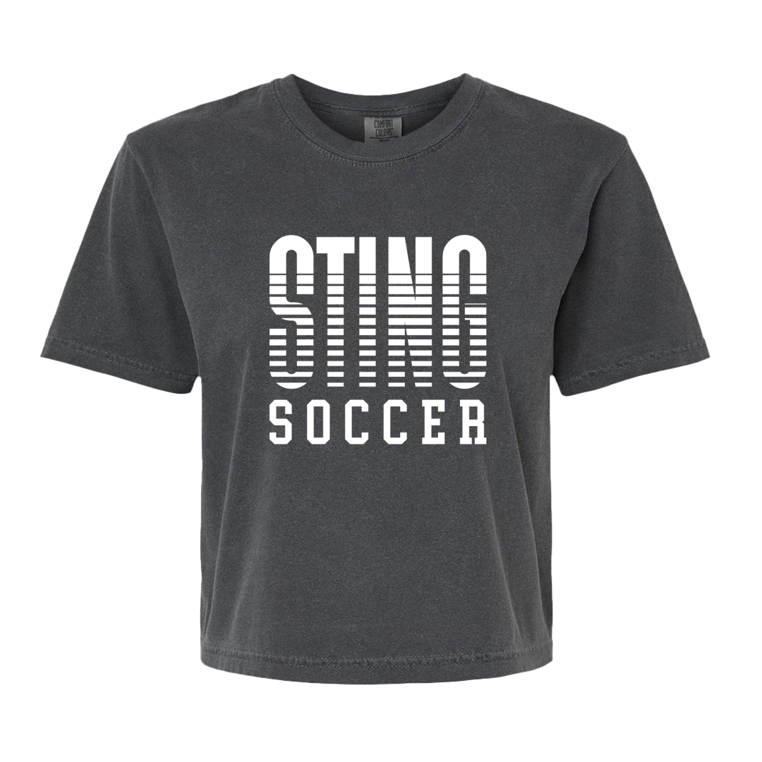Sting 24 Gradient Comfort Color Women's Boxy Tee